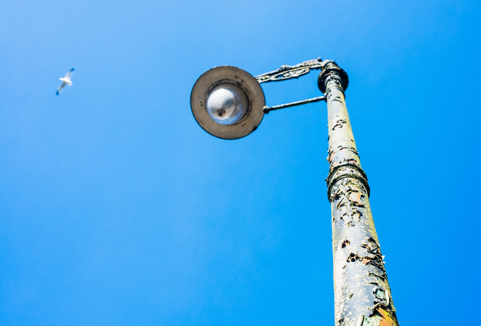 9 March - 11:02 - 2021 (Fly and Light - Clifton, Bristol, UK)