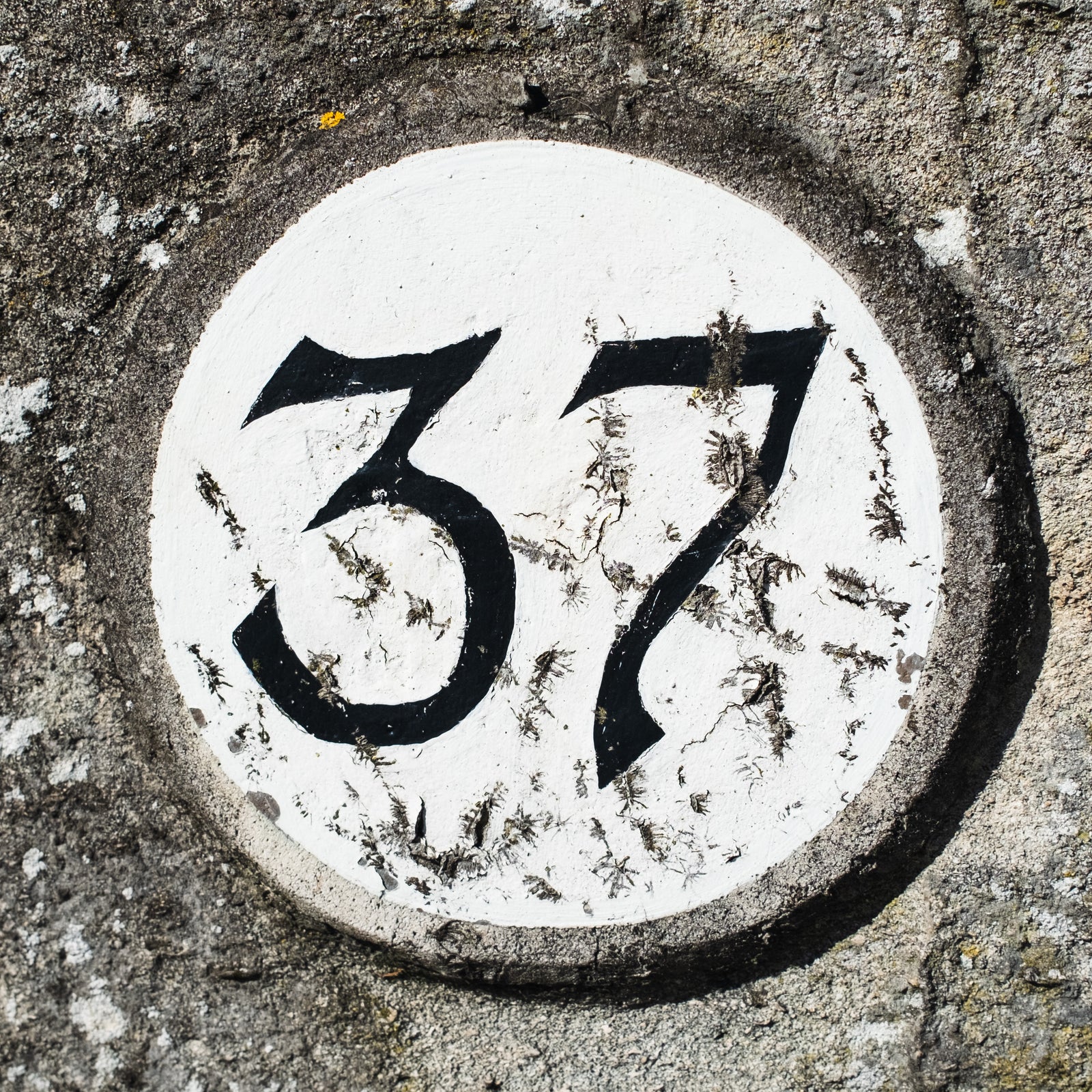 37 Pembroke Rd, Clifton, Bristol, BS8, UK