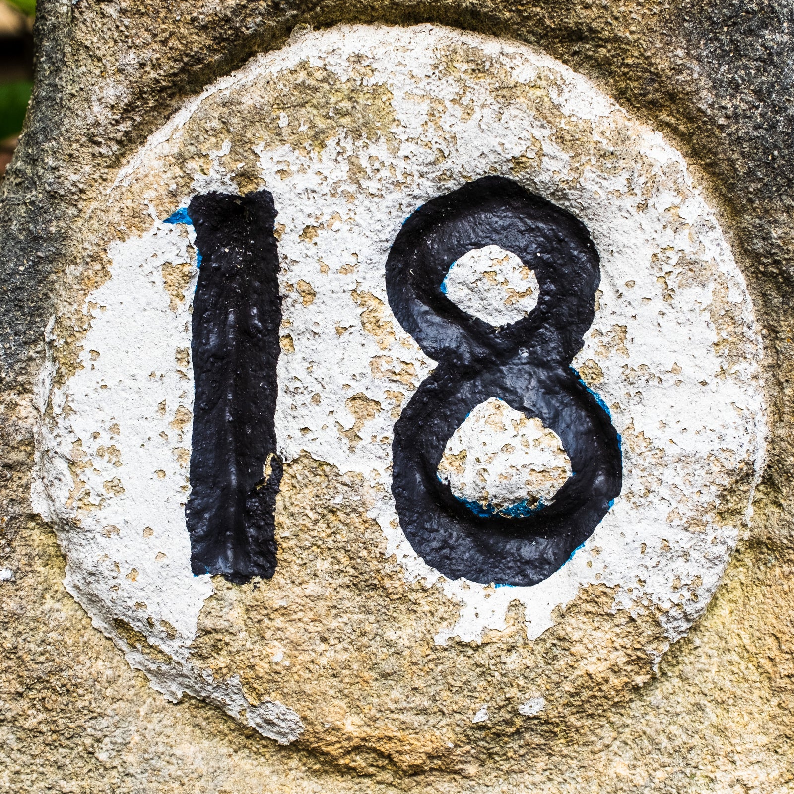 18 Hartington Park, Redland, Bristol, BS6, UK