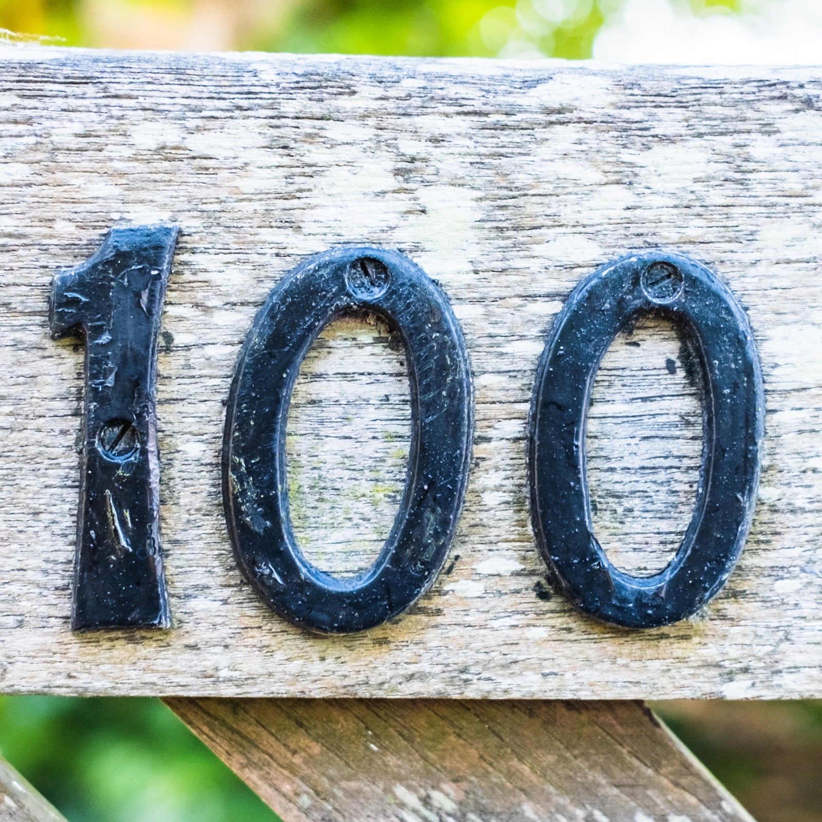 100 Hepburn Gardens, St Andrews, SCO