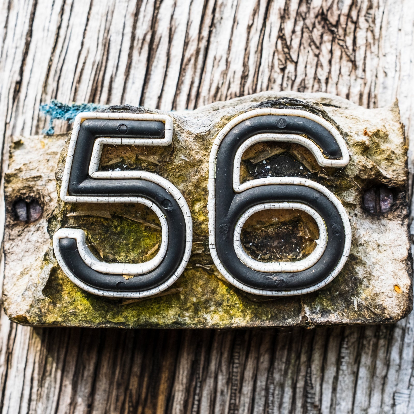 56 Upper Cranbrook Rd, Bristol, BS6, UK