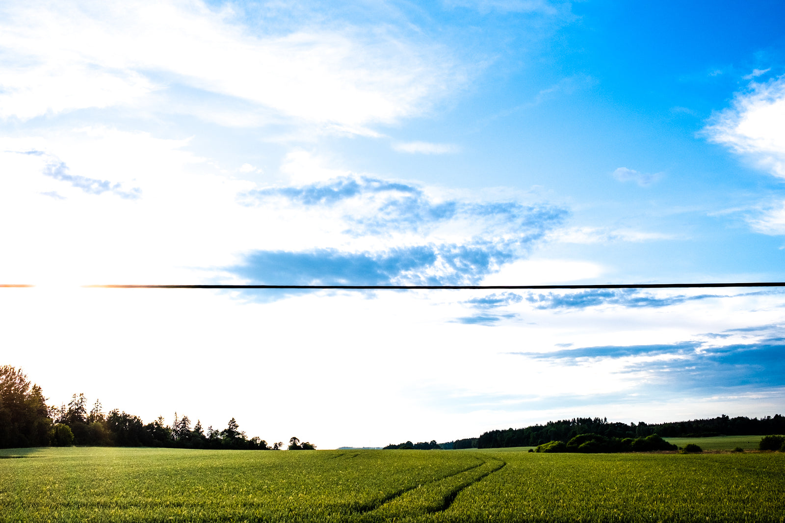 5 July - 2021 - 18:58 (Summer - Örsundsbro, SWE)