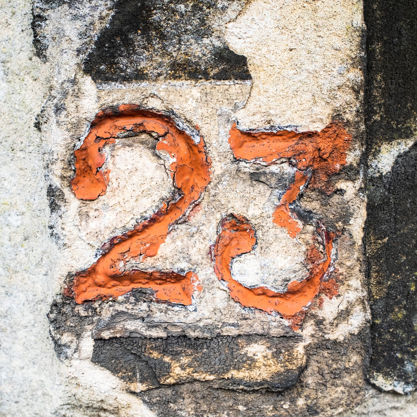 23 Cotham Rd, Cotham, Bristol, BS6, UK