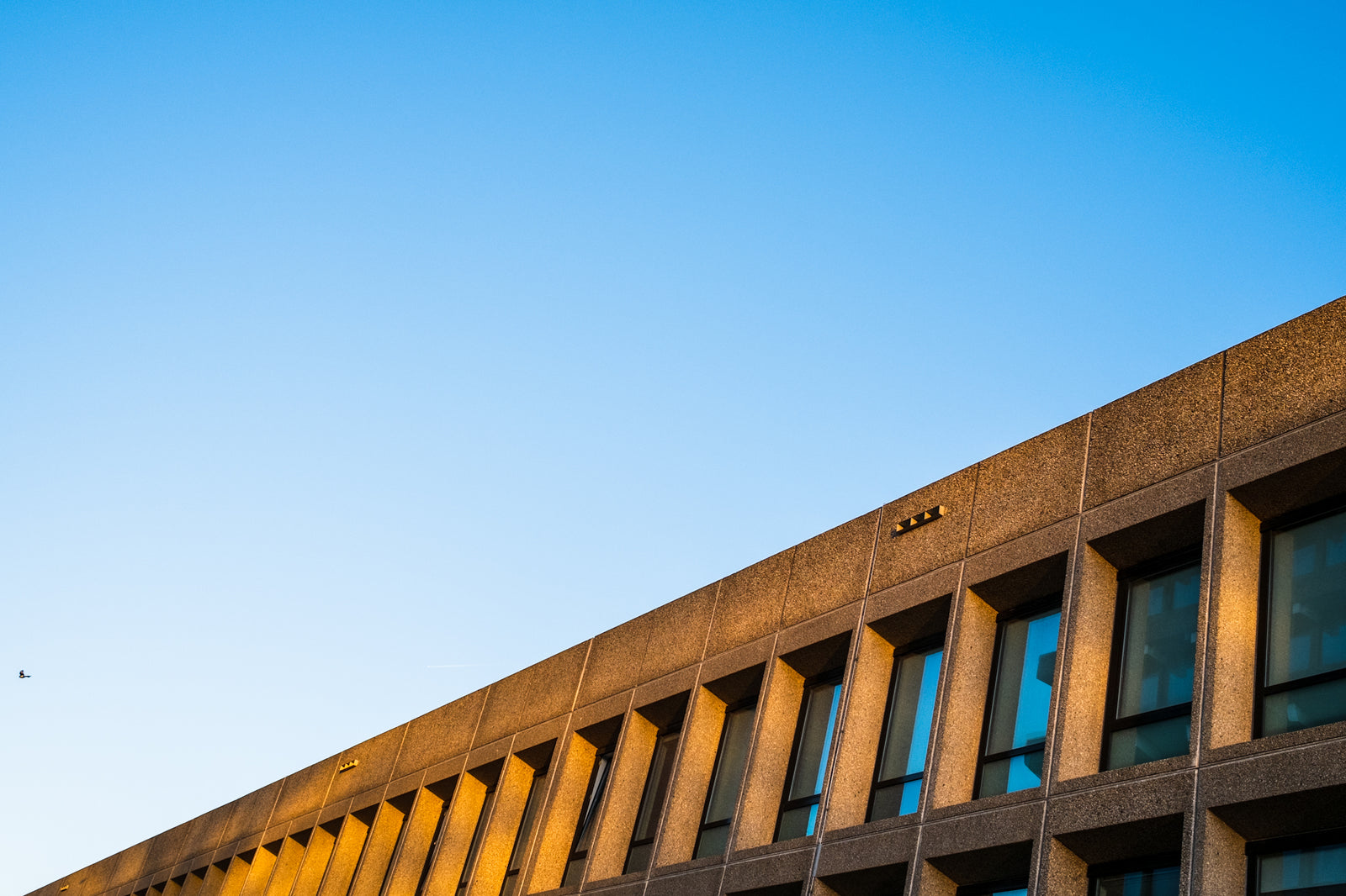 23 February 2022 (Left Right Fly, Amsterdam, NED)